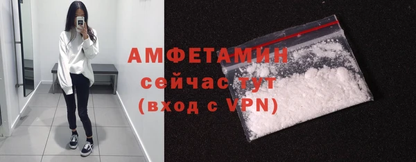 прущие грибы Балахна