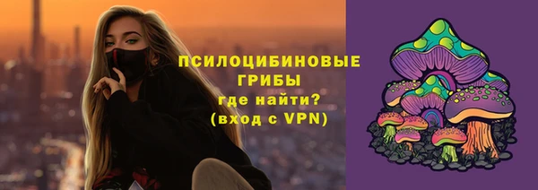 прущие грибы Балахна
