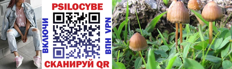 мега ссылки  Пятигорск  Псилоцибиновые грибы Cubensis 