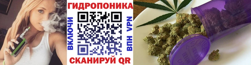 Бошки марихуана конопля Пятигорск