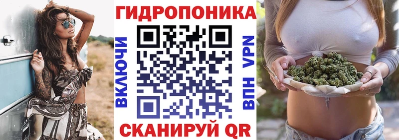 Бошки марихуана MAZAR  продажа наркотиков  Пятигорск 