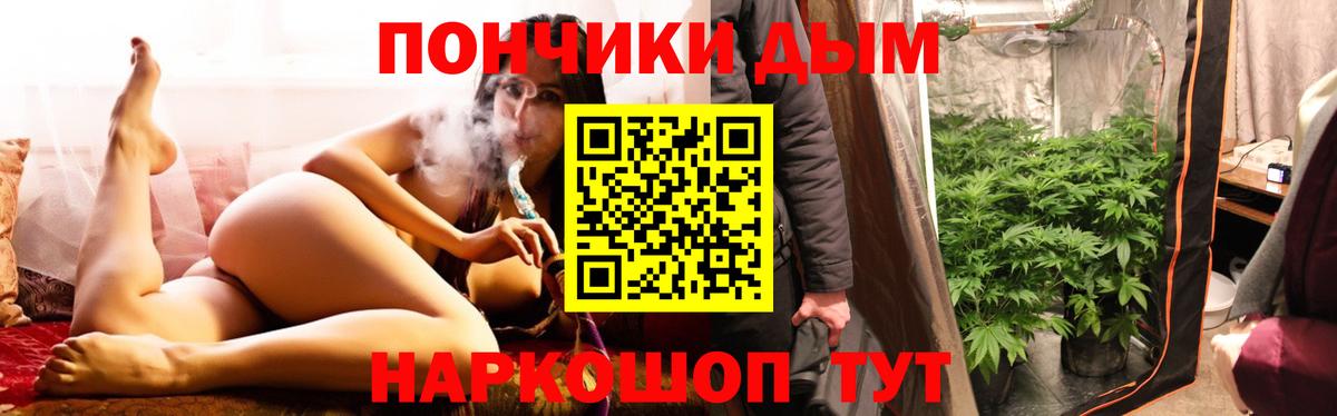Шишки марихуана семена Пятигорск